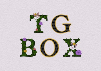 [分享] 首次 Tg box  最新團物全分享